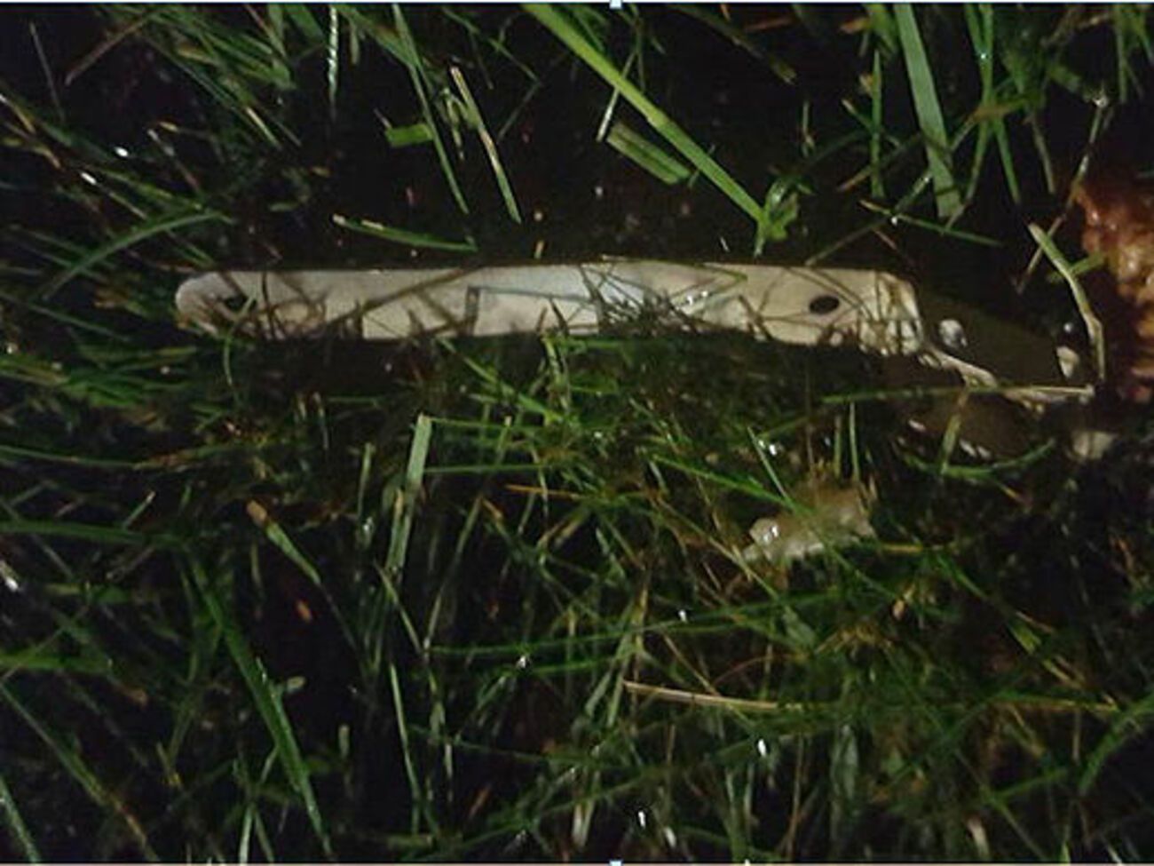 Правоохранители осуществляют необходимые меры для расследования взрыва на территории посольства США в Киеве, заявили в МИД