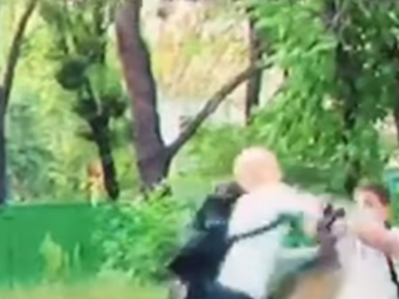 Шабунин ударил Филимоненко