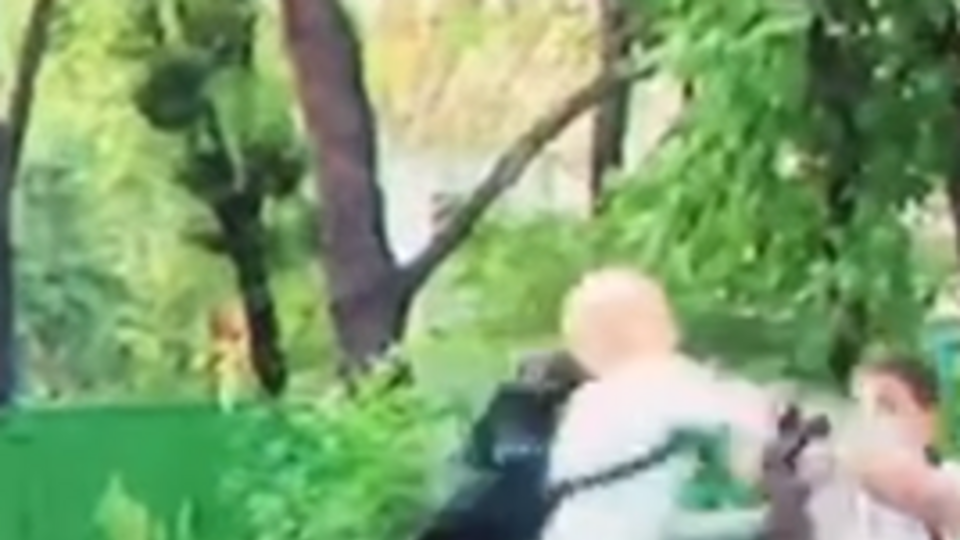 Шабунин ударил Филимоненко