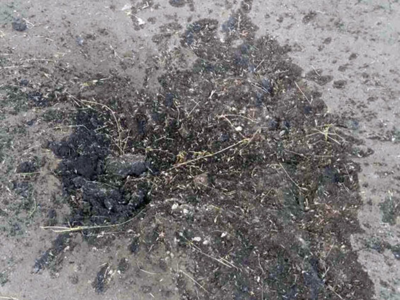 8 июня боевики также обстреляли поселок Сартану