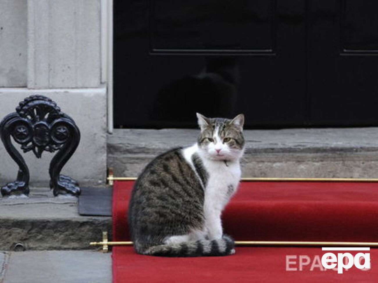 Ларрі офіційно обіймає посаду головного мишолова