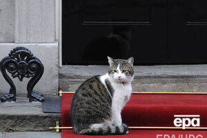 Ларрі офіційно обіймає посаду головного мишолова