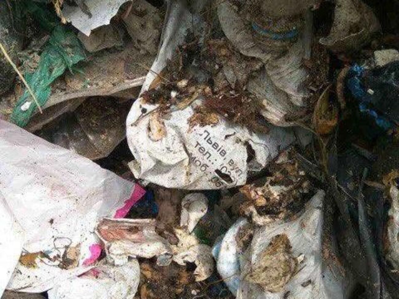 В ходе осмотра мусора полицейские нашли документацию из разных заведений Львова