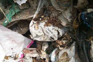 В ходе осмотра мусора полицейские нашли документацию из разных заведений Львова