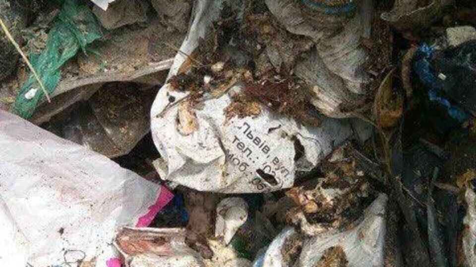 В ходе осмотра мусора полицейские нашли документацию из разных заведений Львова