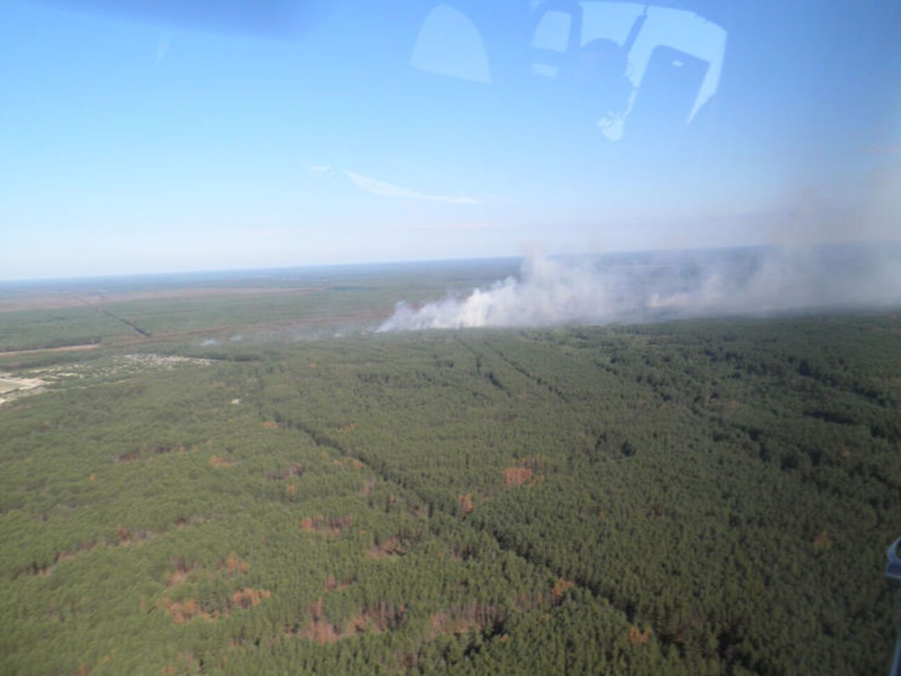 Пожежу в зоні відчуження вдалося загасити