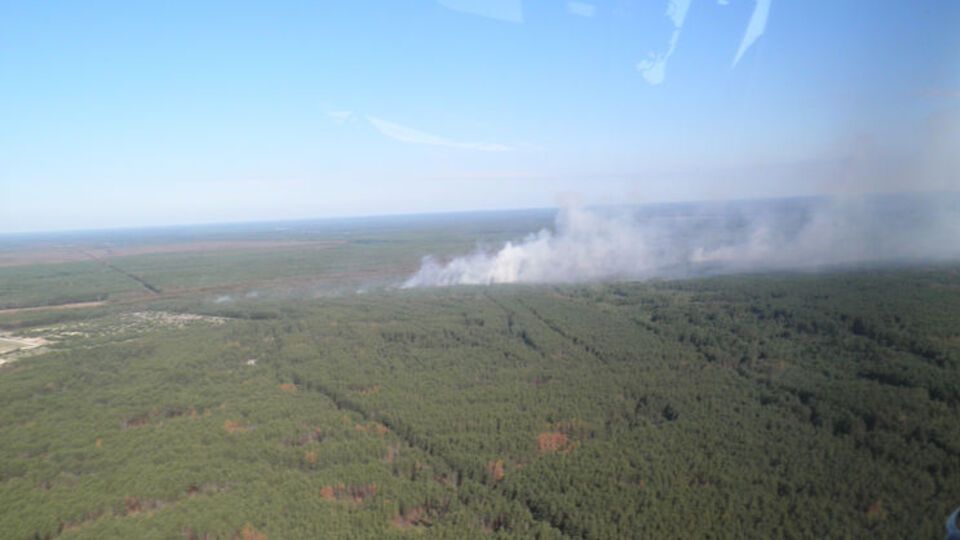 Пожар в зоне отчуждения удалось потушить