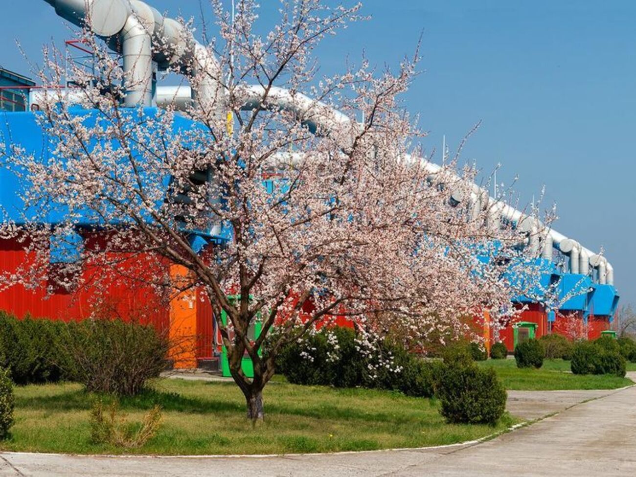 Украинской ГТС будет распоряжаться компания "Магистральные газопроводы"