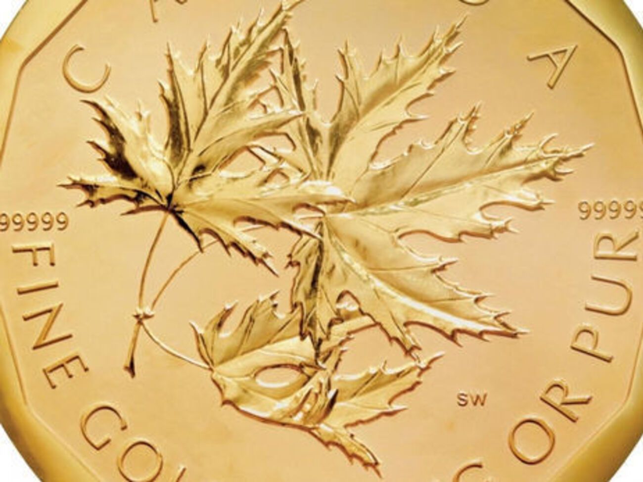 Правоохранители пока не нашли украденную монету