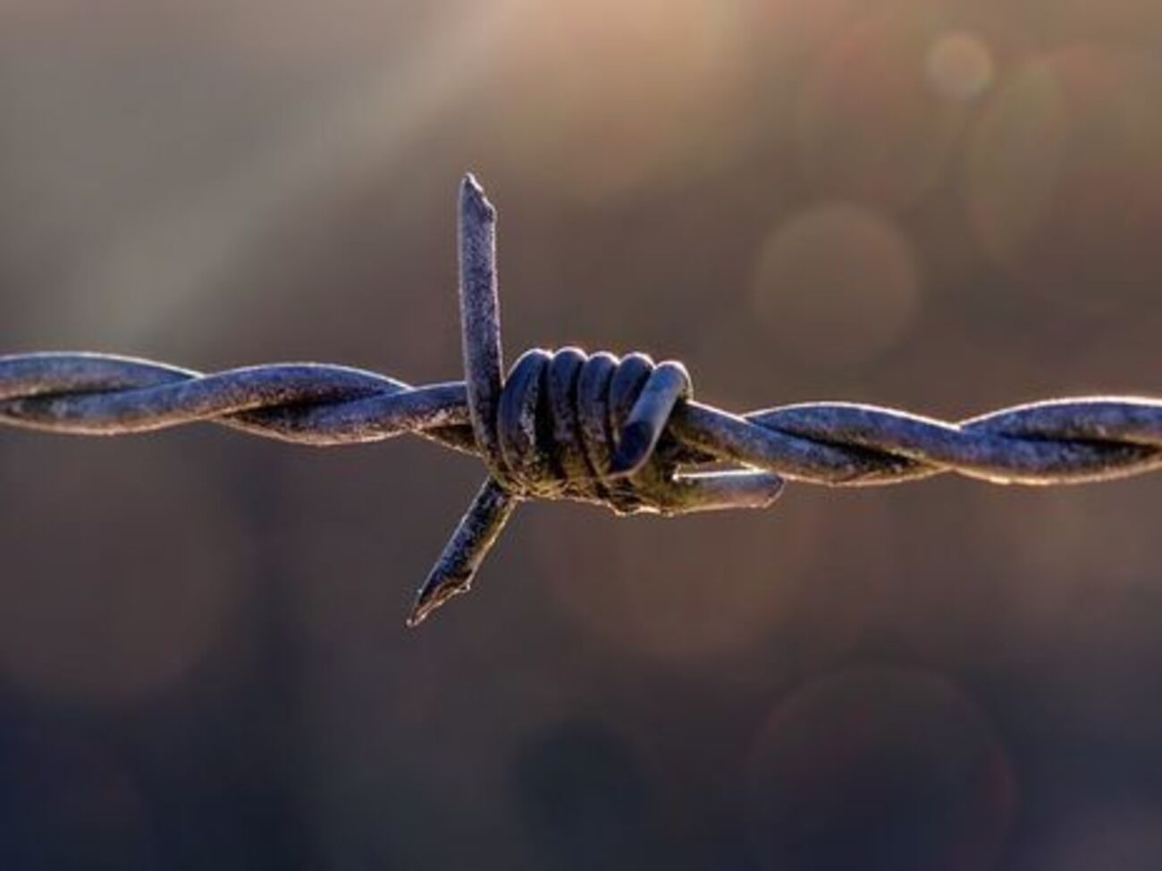 В трудовых лагерях на Донбассе содержатся лица, осужденные весной 2014 года украинскими судами