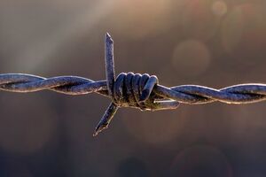 В трудовых лагерях на Донбассе содержатся лица, осужденные весной 2014 года украинскими судами