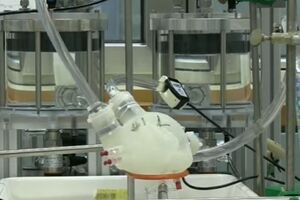 Нове серце поки може працювати від 30 до 45 хвилин