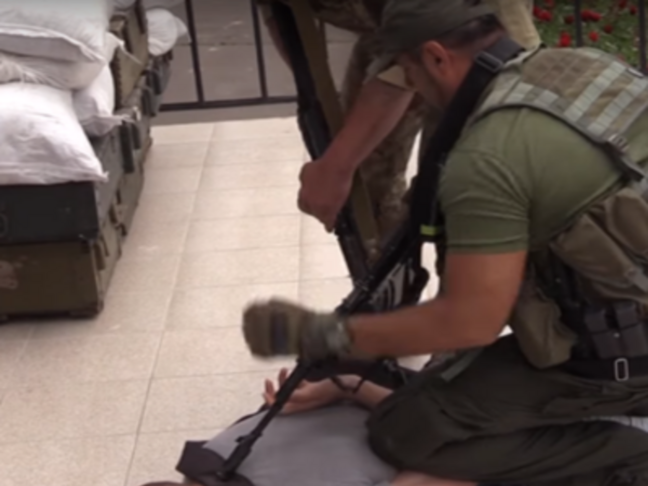 Волка ранили 6 июля в Кривом Роге