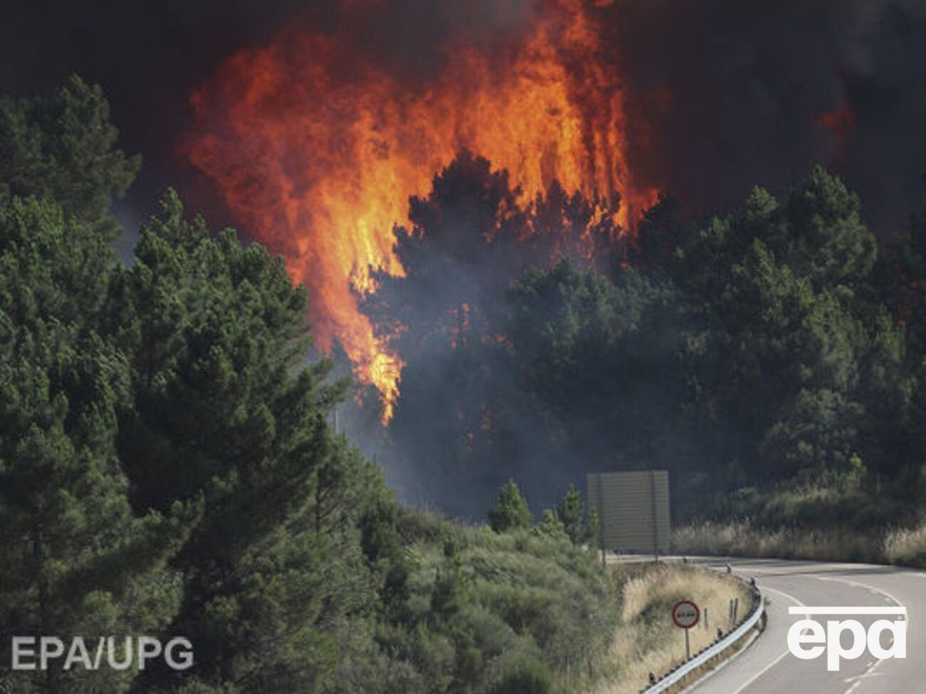 Пожежі виникли в Хорватії, Чорногорії, Боснії й Герцеговині