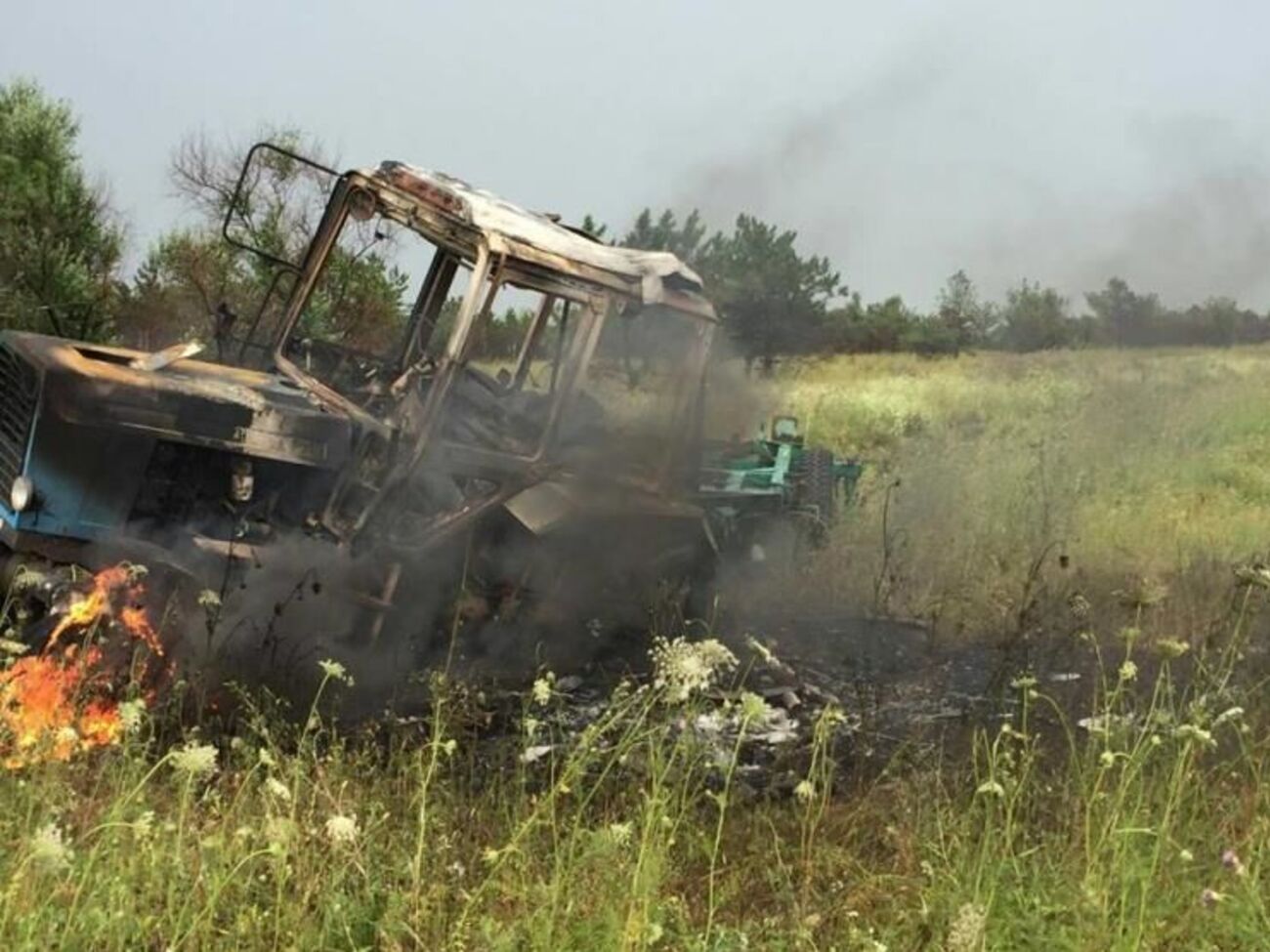 Инцидент произошел 17 июля около 10.30 на северо-восточной окраине поселка Гнутово вблизи Мариуполя