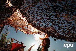 Більшість українців виступає за введення на Донбас миротворців