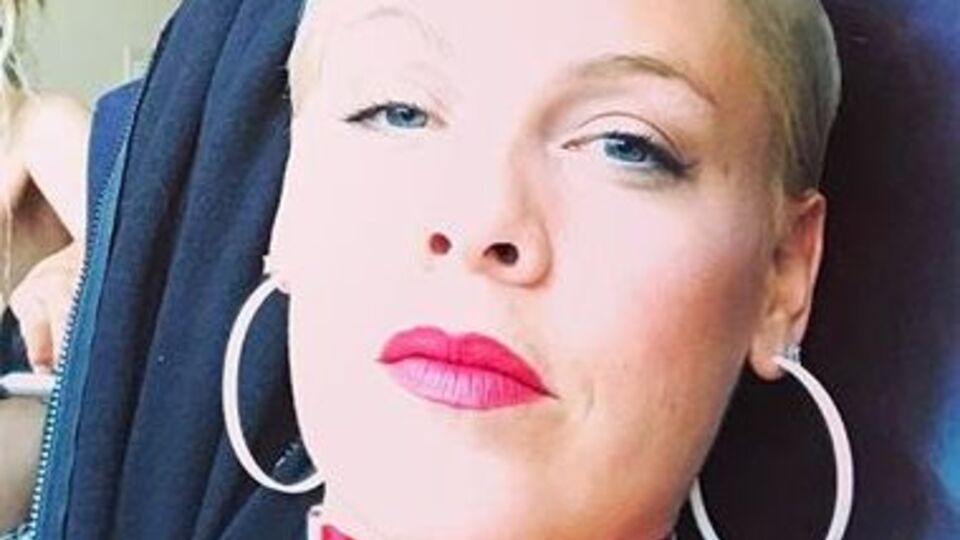 Pink: Время обеда