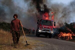 У Португалії тривають лісові пожежі. Фоторепортаж