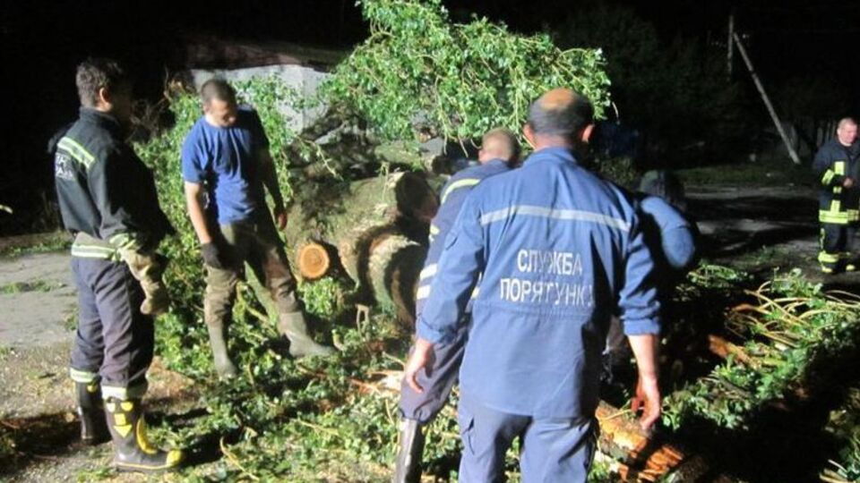 1 июля ветер в Украине повалил 640 деревьев