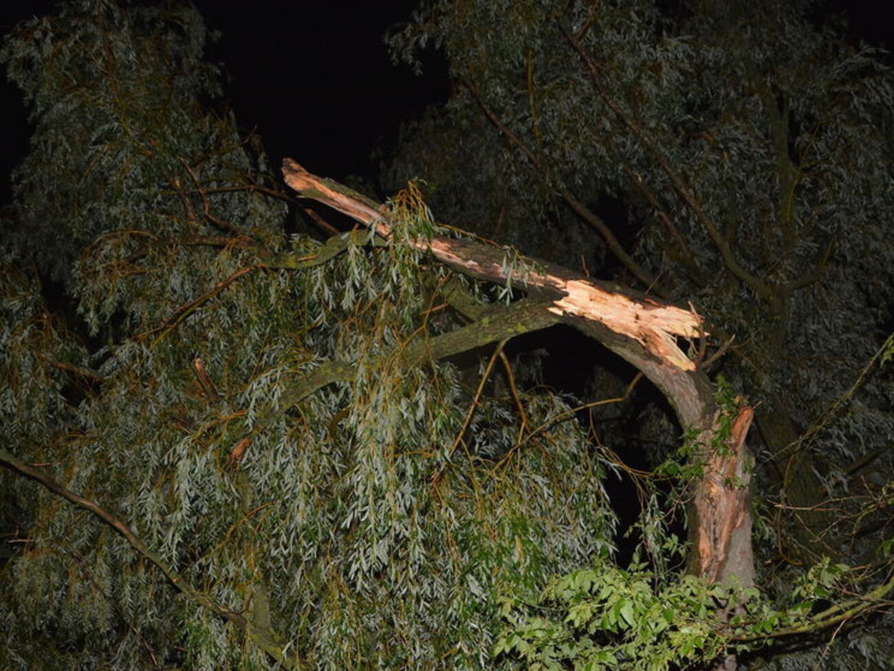 В Черкасской области произошел ураган