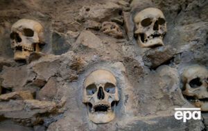 Черепа принадлежат не только мужчинам, но и женщинам, а также детям