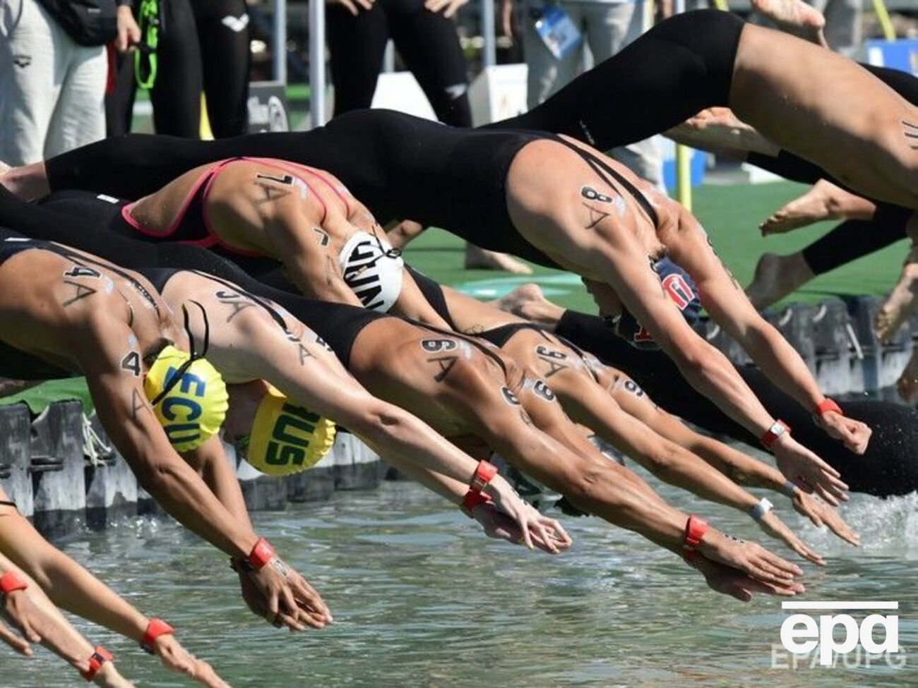 В Будапеште проходит 17-й чемпионат мира по водным видам спорта