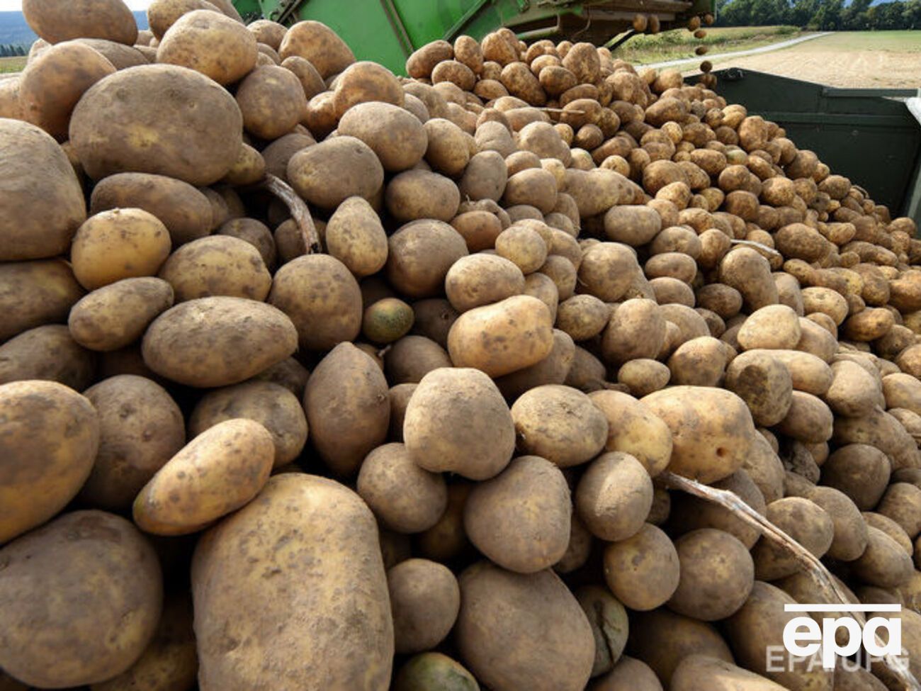Украина экспортировала картофеля&nbsp;на сумму $2,3 млн