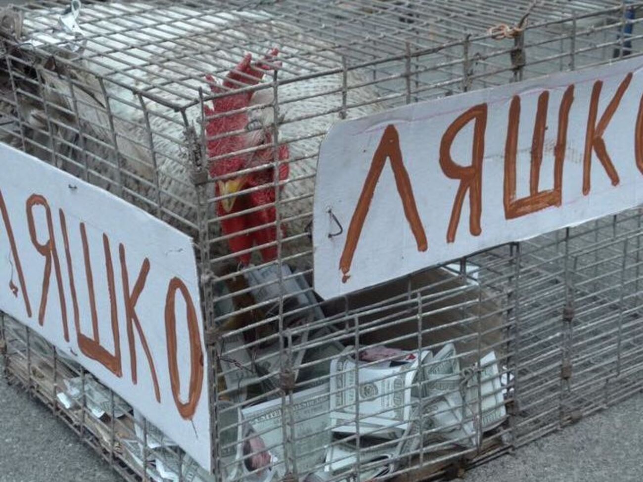 К Печерскому суду сегодня принесли живого петуха