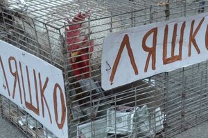 К Печерскому суду сегодня принесли живого петуха