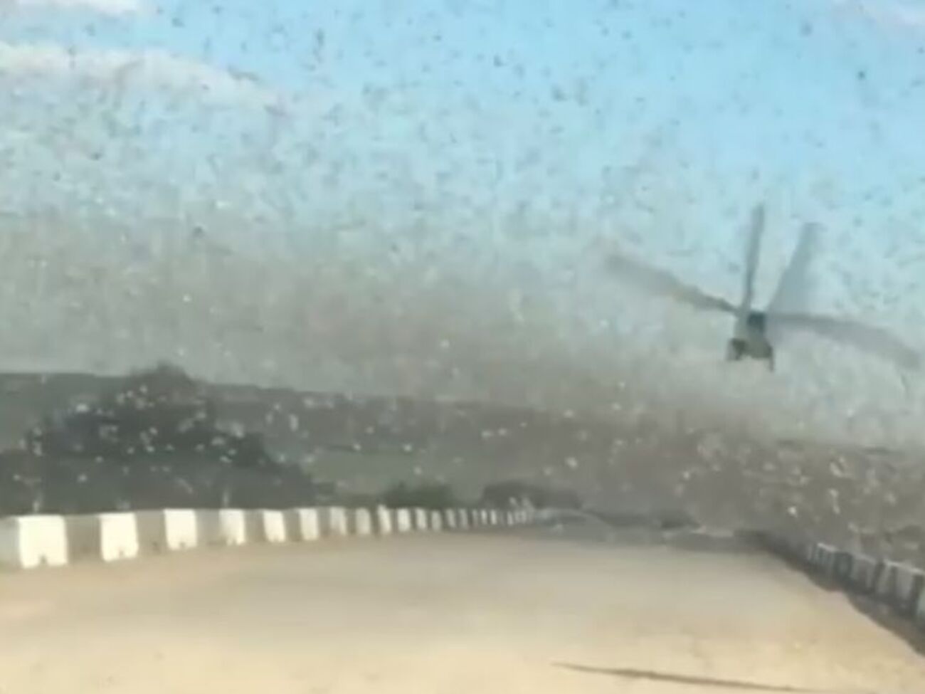 Нашествие саранчи сняли из окна автомобиля