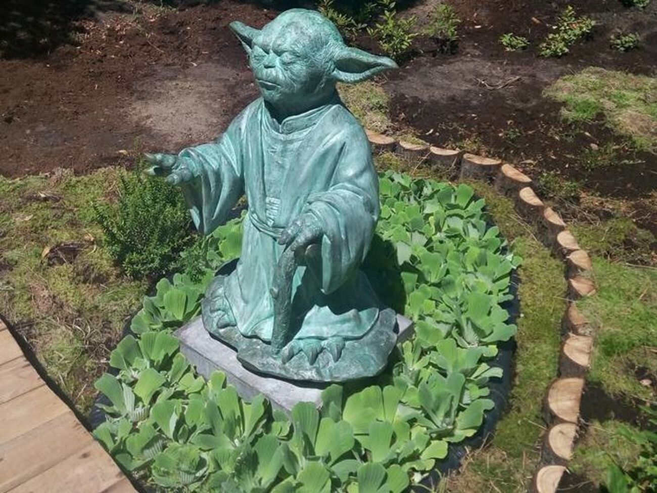 У ботсаду встановили статую майстра Йоди