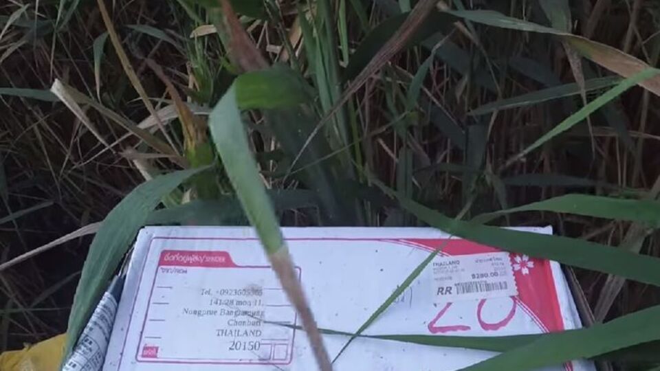 Посилки йшли, зокрема, з Азії