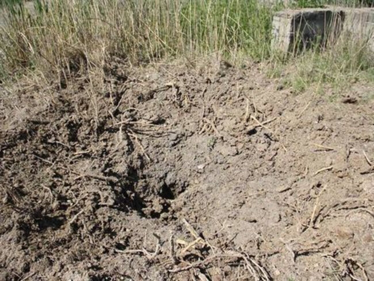 Бойовики обстріляли Зайцеве