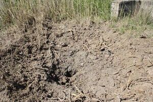 Бойовики обстріляли Зайцеве