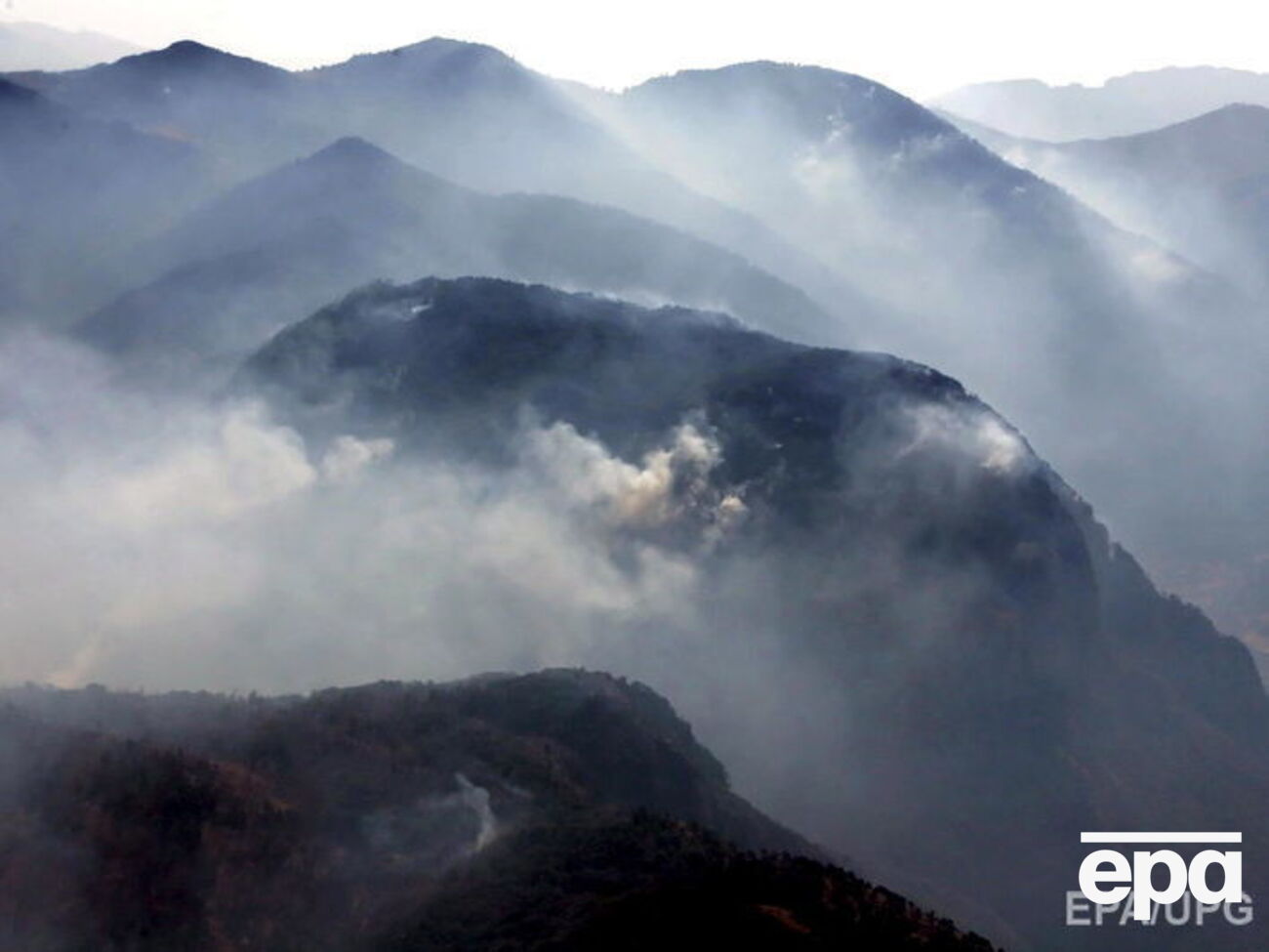 Лісові пожежі охопили всі райони країни