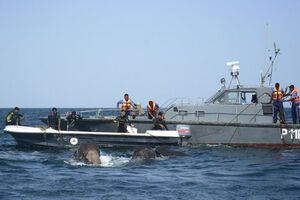 Слонів змило в море
