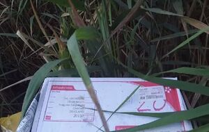 Посылки не дошли до адресатов