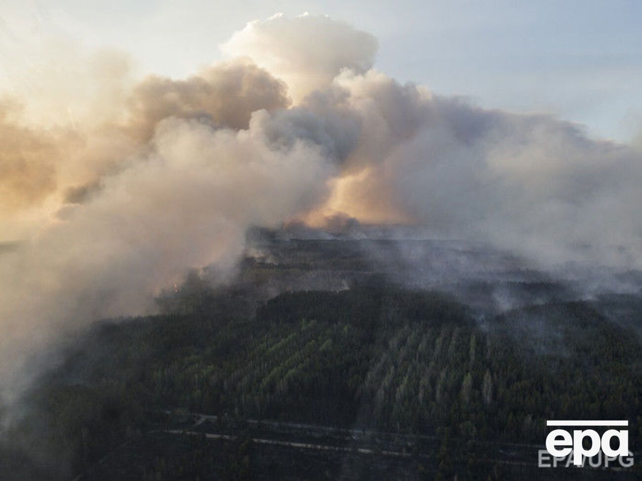 ДСНС попередила про високу пожежну небезпеку в Україні