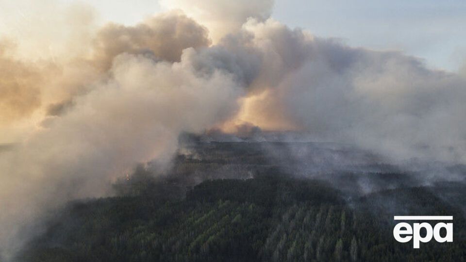 ДСНС попередила про високу пожежну небезпеку в Україні