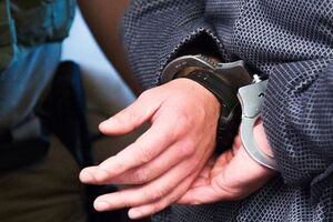 Экс-чиновника задержали на территории международного аэропорта Борисполь