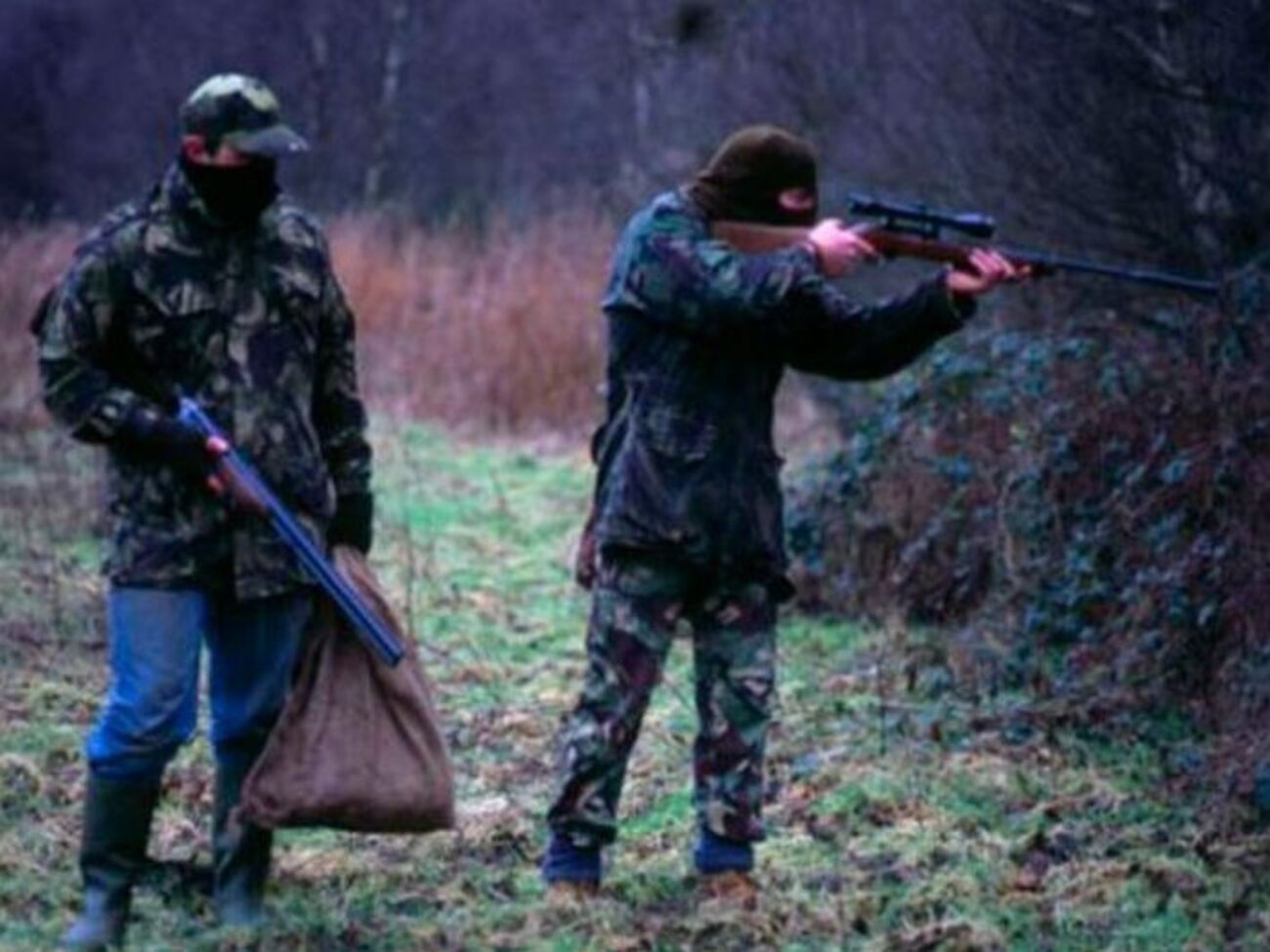 Браконьеры будут платить не только штраф, но и компенсацию охотничьим угодьям