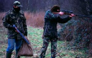 Браконьеры будут платить не только штраф, но и компенсацию охотничьим угодьям