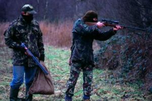 Браконьєри будуть сплачувати не лише штраф, але й компенсацію мисливським угіддям