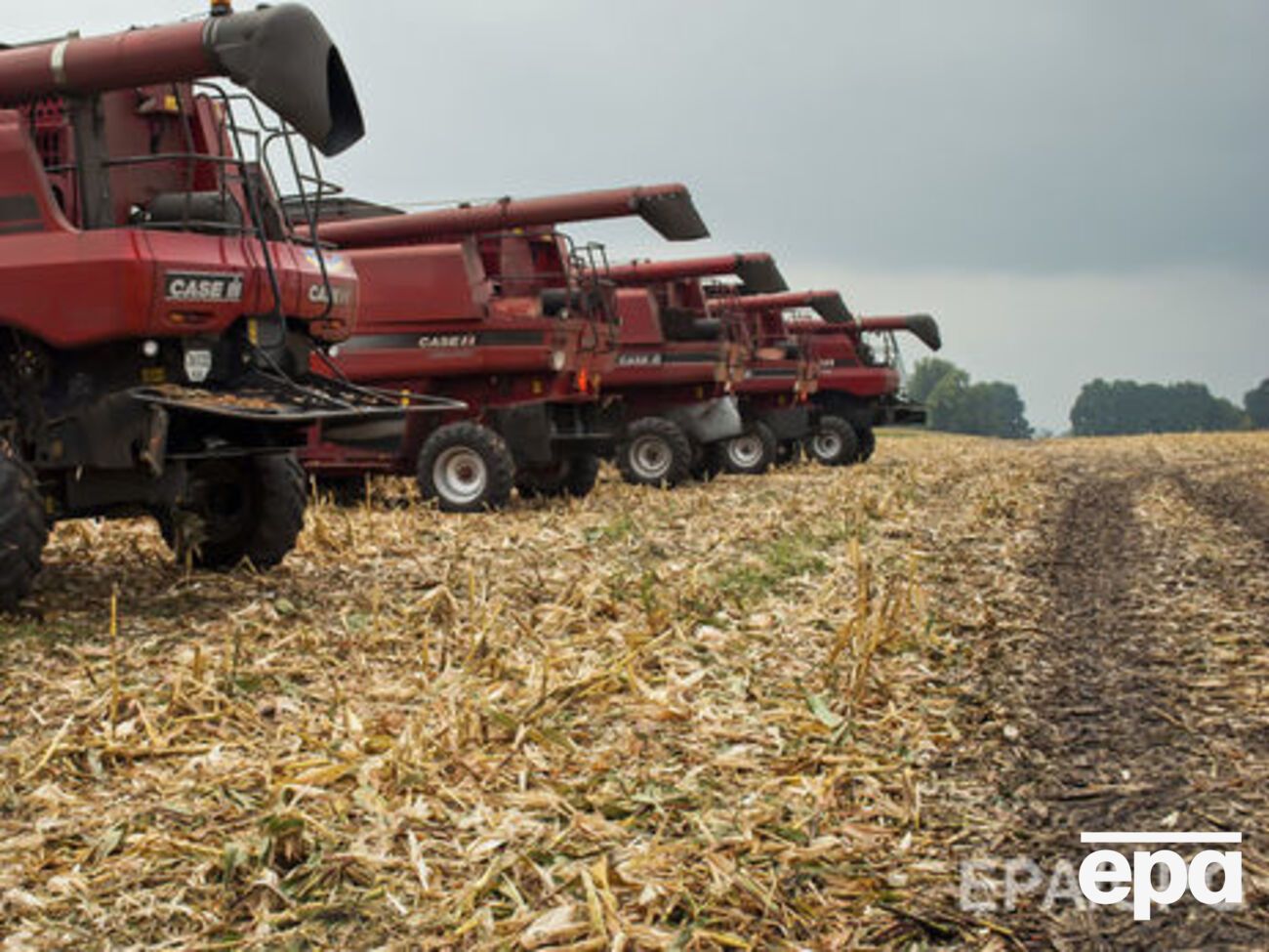 Якщо на ринок вийдуть російські добрива, місцеві виробники не зможуть конкурувати, зазначає автор