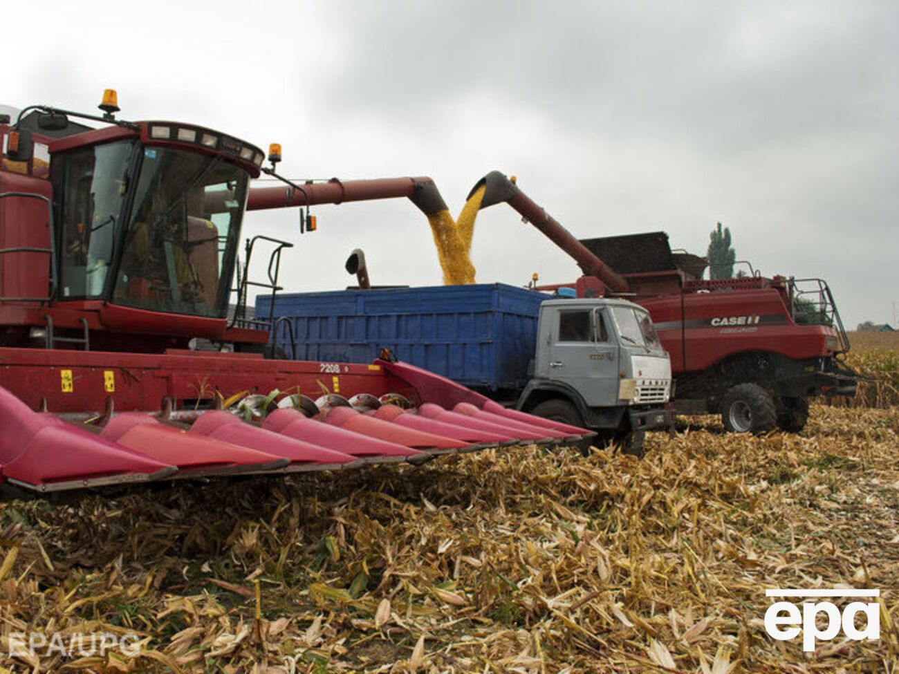 Пункту про необхідність земельної реформи не буде в меморандумі України та МВФ