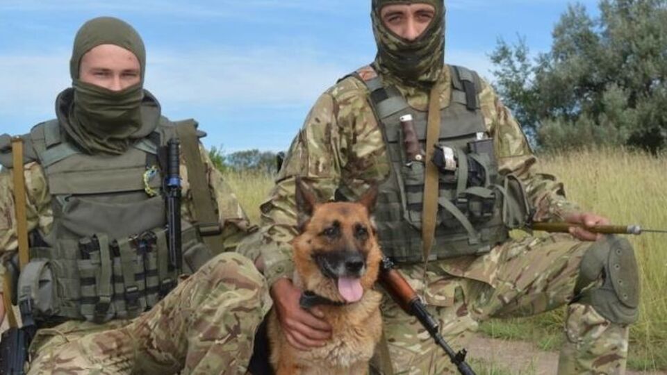 Під Слов'янськом сапери виявили останки загиблих воїнів часів Другої світової війни