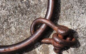 В украинской полиции рассказали историю о работорговле в 21-м веке