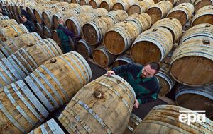 Щорічно виробництво віскі приносить Шотландії £4 млрд доходу