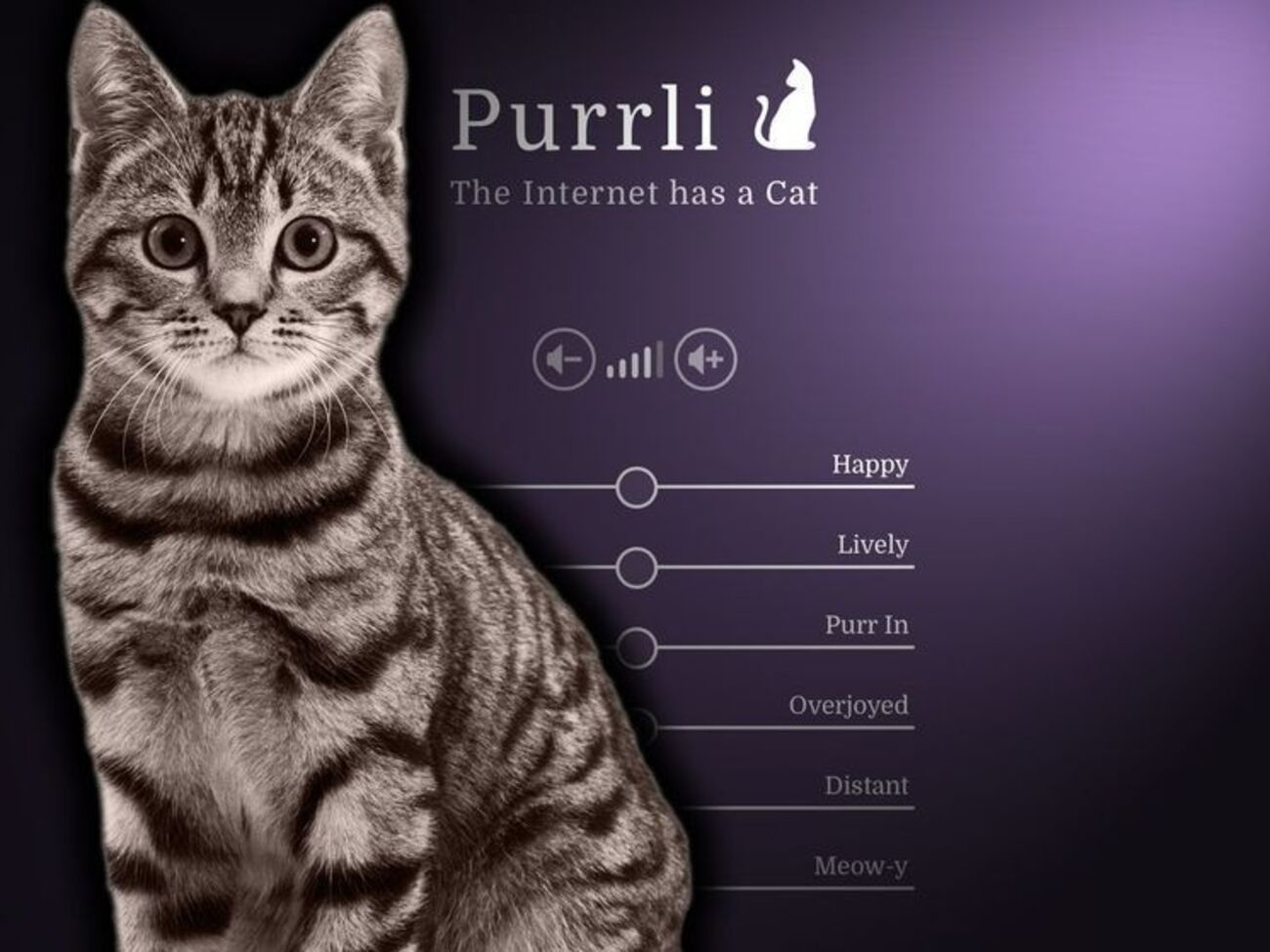 Коти реагують на штучне мурчання неоднозначно