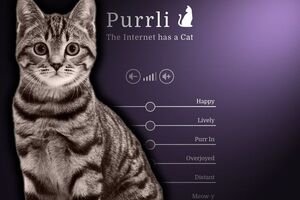 Коти реагують на штучне мурчання неоднозначно